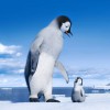 Полезные советы папам «в декрете» Папа и малыш. Кадр из мультфильма Happy feet 2